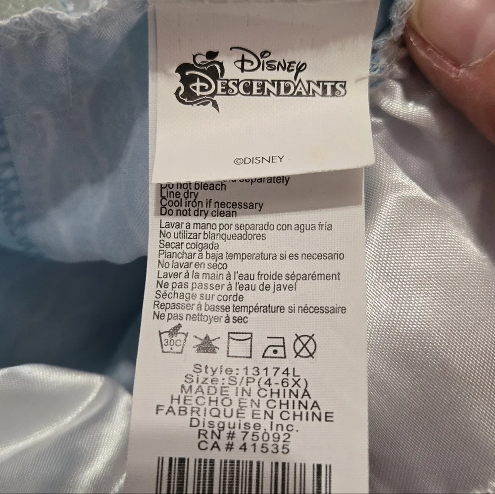 Disguise Ally Deluxe Descendants Wicked World Disney Costume Size Small 4-6